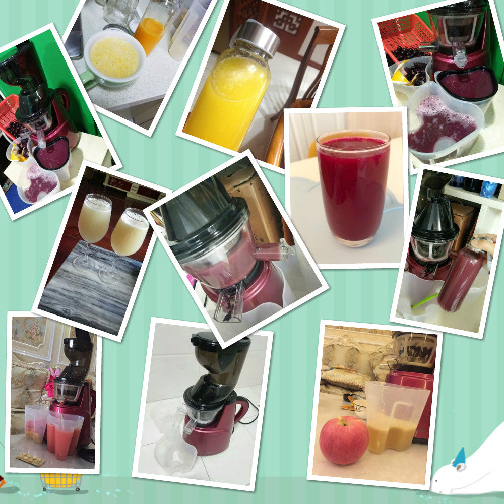 Hot sale Large Feed Chute Whole Slow Juicer wide feeding tubes Quiet low speed juice extractor for fruit vegetable citrus