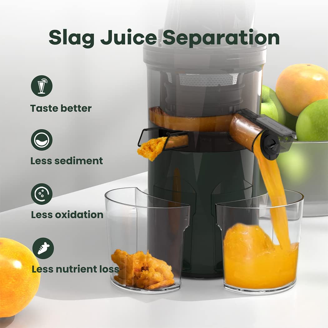 Masticating Juicer, 250W Professional Slow Juicer with 3.5-inch (88mm) Large Feed Chute for Vegetable and Fruit, Cold Press Juicer Machines