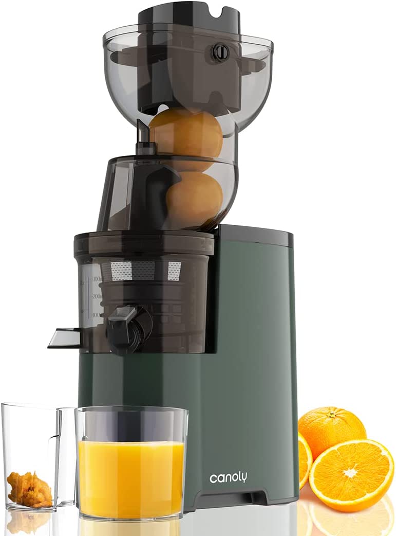 Masticating Juicer, 250W Professional Slow Juicer with 3.5-inch (88mm) Large Feed Chute for Vegetable and Fruit, Cold Press Juicer Machines