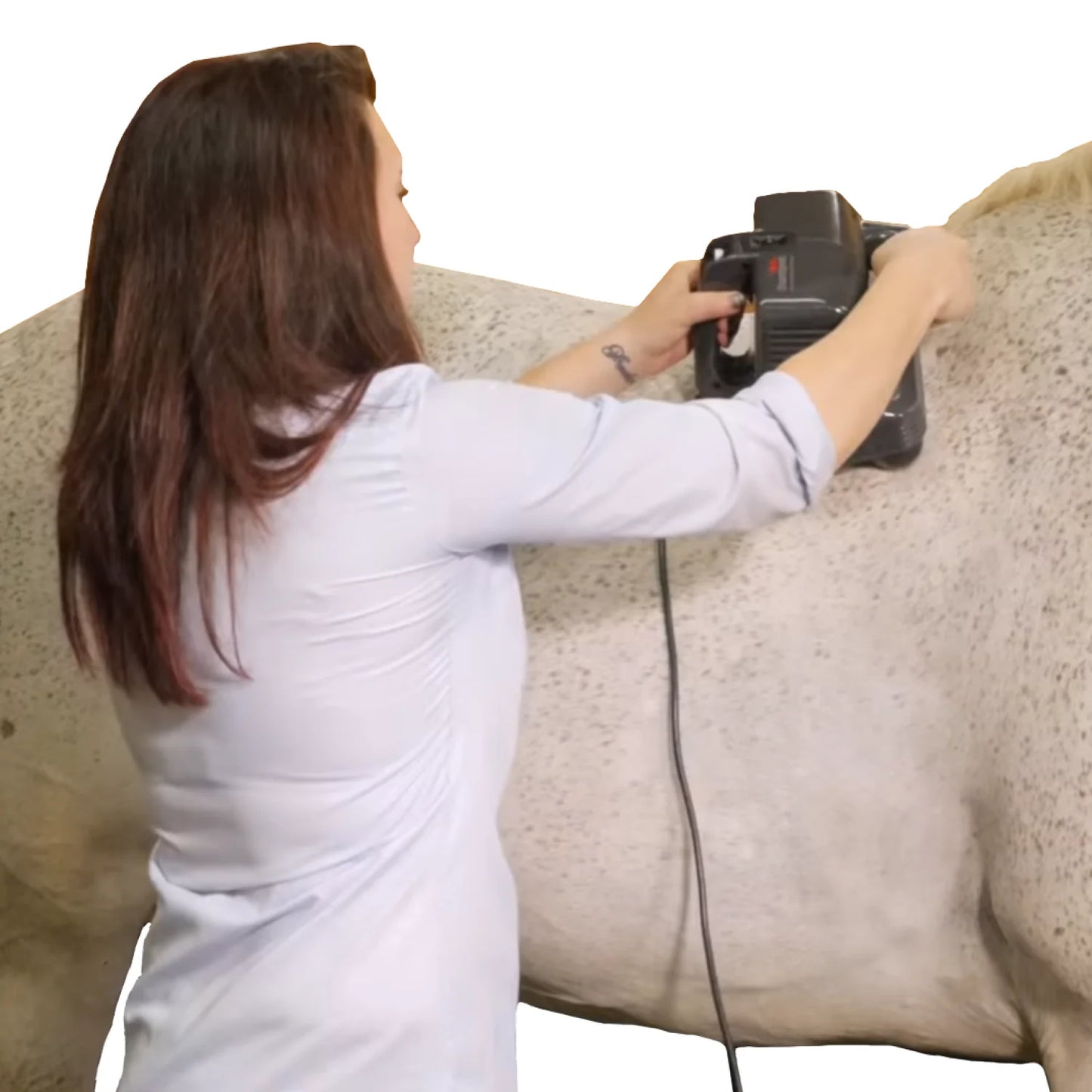 THUMPER EQUINE PRO