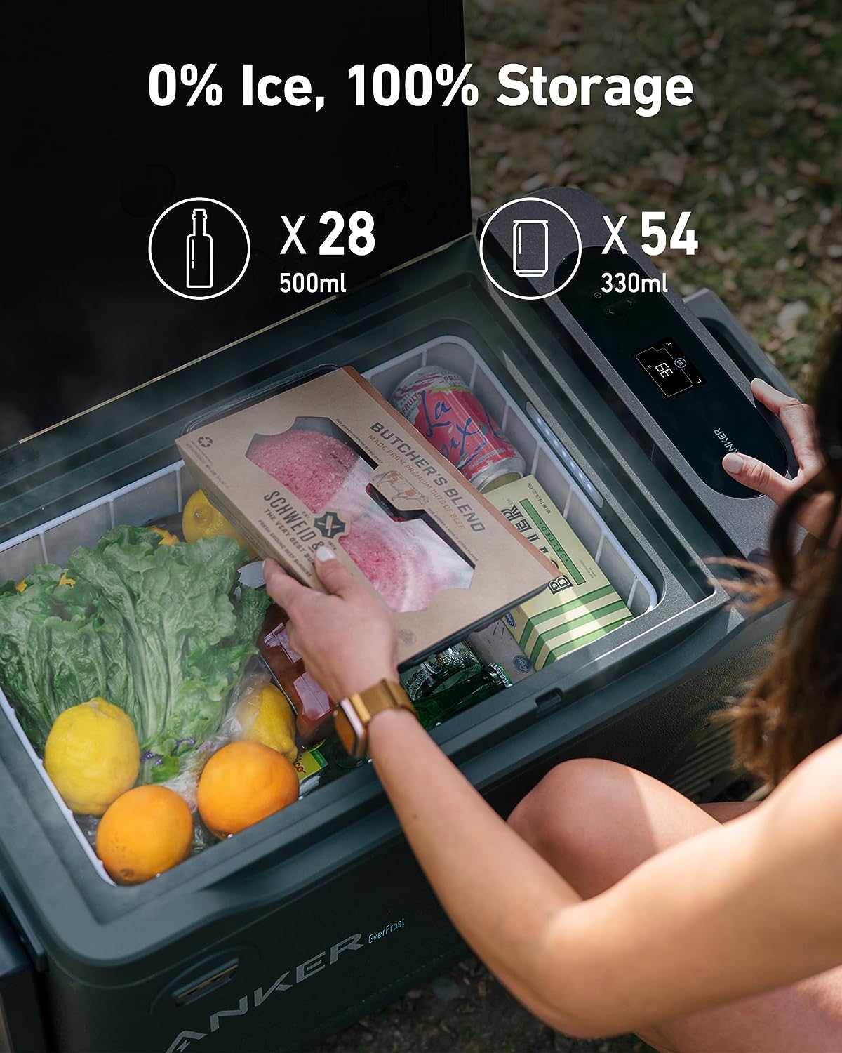 Anker - EverFrost Powered Cooler 40