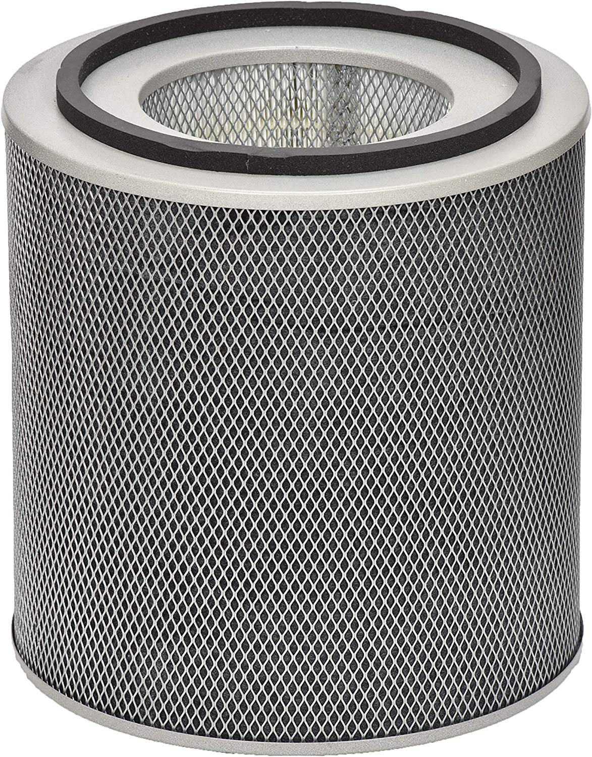 Austin Air Healthmate Standard Replacement Filter FR400B - White