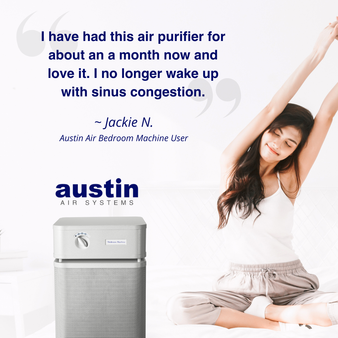 Austin Air Bedroom Machine Air Purifier B402B1 - Black